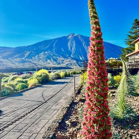 Lejlighed !!! Relaxing View, The Heights With Terrace And Heated Pools, Cristianos *